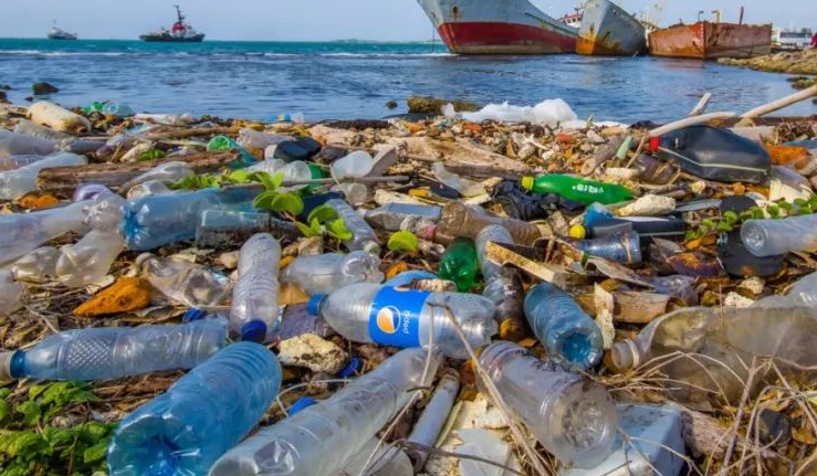 1704260299785931.png 截圖20240103133719.png